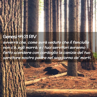 Picture 02 - Genesi 44:31 RIV - avverrà che, come avrà veduto che il fanciullo - Bible Verse Picture