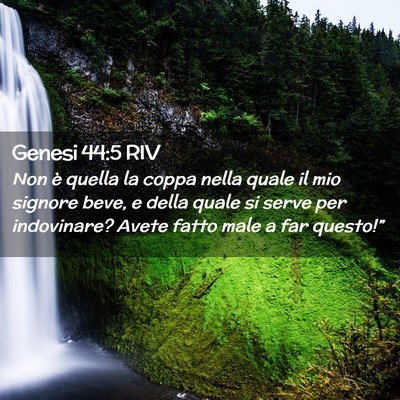 Picture 02 - Genesi 44:5 RIV - Non è quella la coppa nella quale il mio signore - Bible Verse Picture