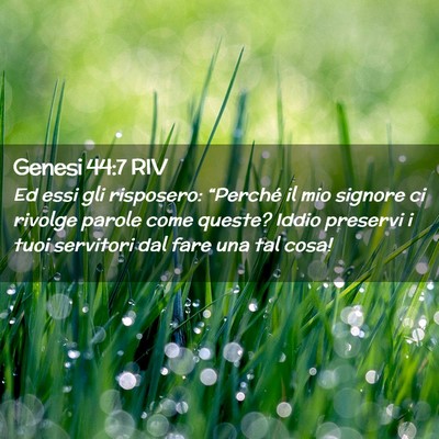 Picture 02 - Genesi 44:7 RIV - Ed essi gli risposero: “Perché il mio signore - Bible Verse Picture