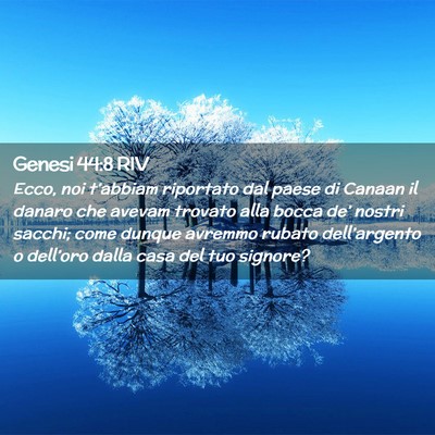 Picture 02 - Genesi 44:8 RIV - Ecco, noi t’abbiam riportato dal paese di - Bible Verse Picture