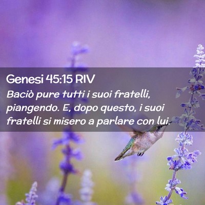 Picture 02 - Genesi 45:15 RIV - Baciò pure tutti i suoi fratelli, piangendo. E, - Bible Verse Picture