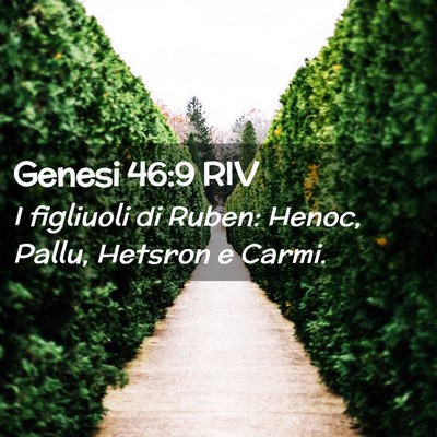 Picture 02 - Genesi 46:9 RIV - I figliuoli di Ruben: Henoc, Pallu, Hetsron e - Bible Verse Picture