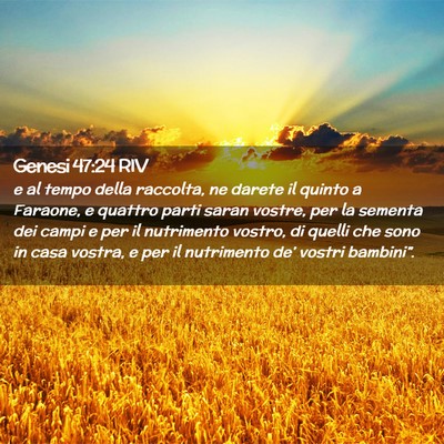Picture 02 - Genesi 47:24 RIV - e al tempo della raccolta, ne darete il quinto a - Bible Verse Picture