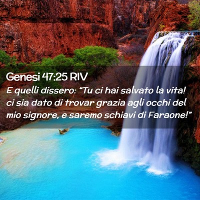 Picture 02 - Genesi 47:25 RIV - E quelli dissero: “Tu ci hai salvato la vita! - Bible Verse Picture