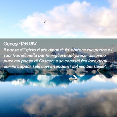 Picture 02 - Genesi 47:6 RIV - il paese d’Egitto ti sta dinanzi; fa’ abitare - Bible Verse Picture