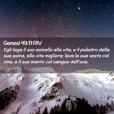 Picture 02 - Genesi 49:11 RIV - Egli lega il suo asinello alla vite, e il puledro - Bible Verse Picture