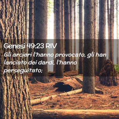 Picture 02 - Genesi 49:23 RIV - Gli arcieri l’hanno provocato, gli han lanciato - Bible Verse Picture