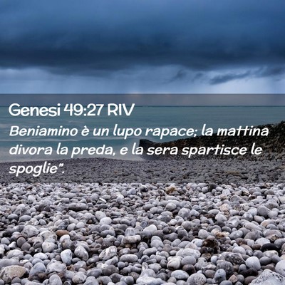 Picture 02 - Genesi 49:27 RIV - Beniamino è un lupo rapace; la mattina divora la - Bible Verse Picture