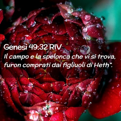 Picture 02 - Genesi 49:32 RIV - Il campo e la spelonca che vi si trova, furon - Bible Verse Picture