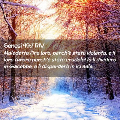 Picture 02 - Genesi 49:7 RIV - Maledetta l’ira loro, perch’è stata - Bible Verse Picture