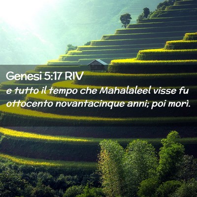 Picture 02 - Genesi 5:17 RIV - e tutto il tempo che Mahalaleel visse fu - Bible Verse Picture