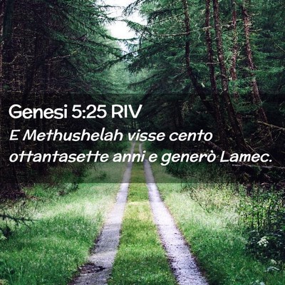 Picture 02 - Genesi 5:25 RIV - E Methushelah visse cento ottantasette anni e - Bible Verse Picture