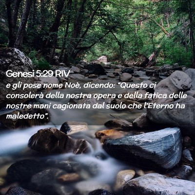 Picture 02 - Genesi 5:29 RIV - e gli pose nome Noè, dicendo: “Questo ci - Bible Verse Picture