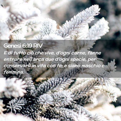 Picture 02 - Genesi 6:19 RIV - E di tutto ciò che vive, d’ogni carne, fanne - Bible Verse Picture