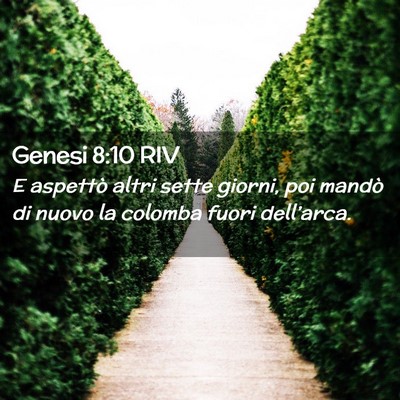 Picture 02 - Genesi 8:10 RIV - E aspettò altri sette giorni, poi mandò di - Bible Verse Picture