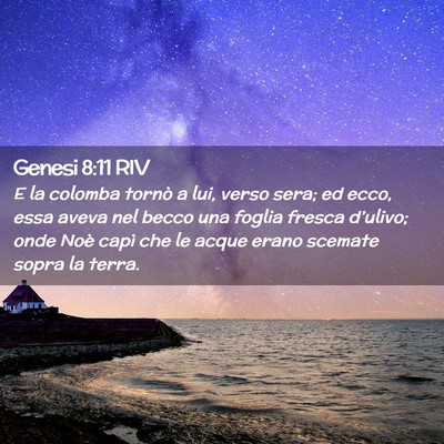 Picture 02 - Genesi 8:11 RIV - E la colomba tornò a lui, verso sera; ed ecco, - Bible Verse Picture