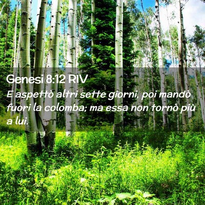 Picture 02 - Genesi 8:12 RIV - E aspettò altri sette giorni, poi mandò fuori - Bible Verse Picture
