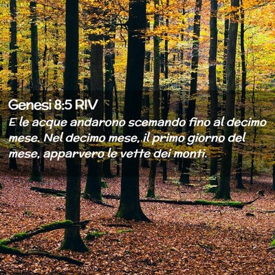 Picture 02 - Genesi 8:5 RIV - E le acque andarono scemando fino al decimo mese. - Bible Verse Picture