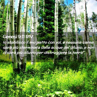 Picture 02 - Genesi 9:11 RIV - Io stabilisco il mio patto con voi, e nessuna - Bible Verse Picture