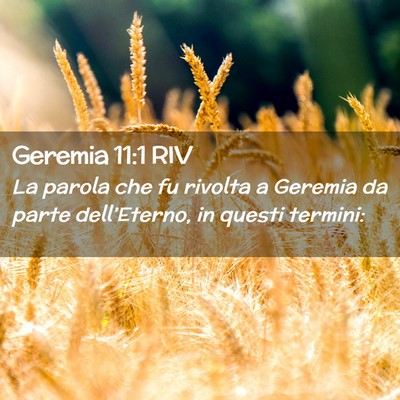 Picture 02 - Geremia 11:1 RIV - La parola che fu rivolta a Geremia da parte - Bible Verse Picture