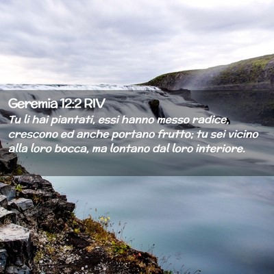 Picture 02 - Geremia 12:2 RIV - Tu li hai piantati, essi hanno messo radice, - Bible Verse Picture