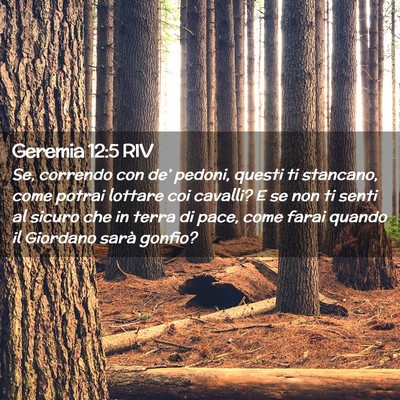 Picture 02 - Geremia 12:5 RIV - Se, correndo con de’ pedoni, questi ti - Bible Verse Picture