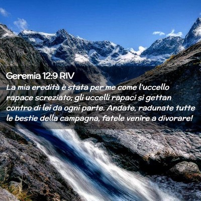 Picture 02 - Geremia 12:9 RIV - La mia eredità è stata per me come l’uccello - Bible Verse Picture
