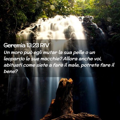 Picture 02 - Geremia 13:23 RIV - Un moro può egli mutar la sua pelle o un - Bible Verse Picture