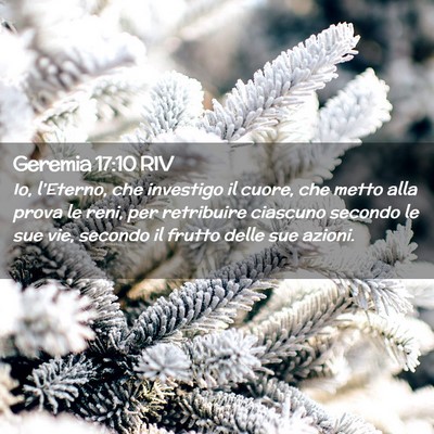 Picture 02 - Geremia 17:10 RIV - Io, l’Eterno, che investigo il cuore, che metto - Bible Verse Picture