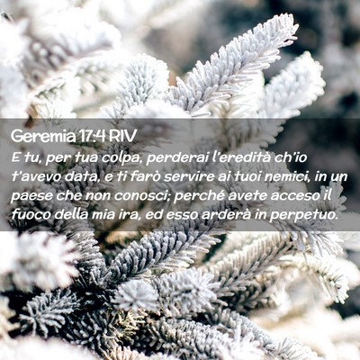 Picture 02 - Geremia 17:4 RIV - E tu, per tua colpa, perderai l’eredità - Bible Verse Picture