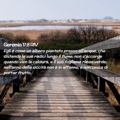Picture 02 - Geremia 17:8 RIV - Egli è come un albero piantato presso - Bible Verse Picture