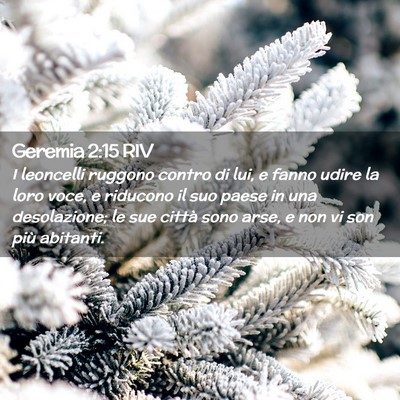 Picture 02 - Geremia 2:15 RIV - I leoncelli ruggono contro di lui, e fanno udire - Bible Verse Picture