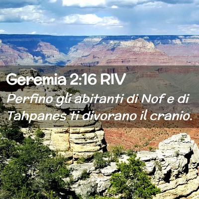 Picture 02 - Geremia 2:16 RIV - Perfino gli abitanti di Nof e di Tahpanes ti - Bible Verse Picture