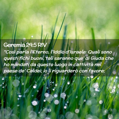 Picture 02 - Geremia 24:5 RIV - “Così parla l’Eterno, l’Iddio d’Israele: - Bible Verse Picture