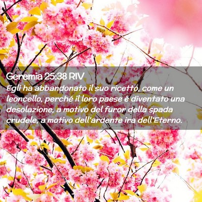 Picture 02 - Geremia 25:38 RIV - Egli ha abbandonato il suo ricetto, come un - Bible Verse Picture