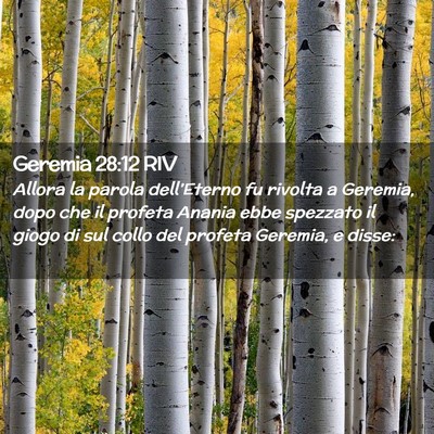 Picture 02 - Geremia 28:12 RIV - Allora la parola dell’Eterno fu rivolta a - Bible Verse Picture