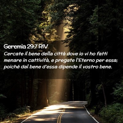 Picture 02 - Geremia 29:7 RIV - Cercate il bene della città dove io vi ho fatti - Bible Verse Picture