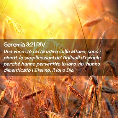 Picture 02 - Geremia 3:21 RIV - Una voce s’è fatta udire sulle alture; sono i - Bible Verse Picture