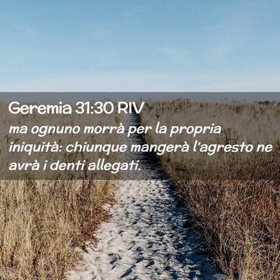 Picture 02 - Geremia 31:30 RIV - ma ognuno morrà per la propria iniquità: - Bible Verse Picture