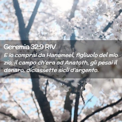 Picture 02 - Geremia 32:9 RIV - E io comprai da Hanameel, figliuolo del mio zio, - Bible Verse Picture