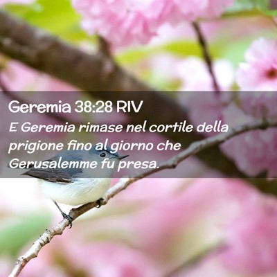 Picture 02 - Geremia 38:28 RIV - E Geremia rimase nel cortile della prigione fino - Bible Verse Picture