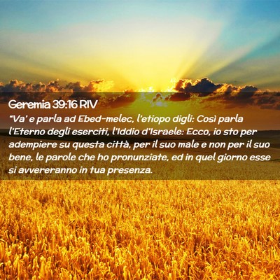 Picture 02 - Geremia 39:16 RIV - “Va’ e parla ad Ebed-melec, l’etiopo digli: - Bible Verse Picture