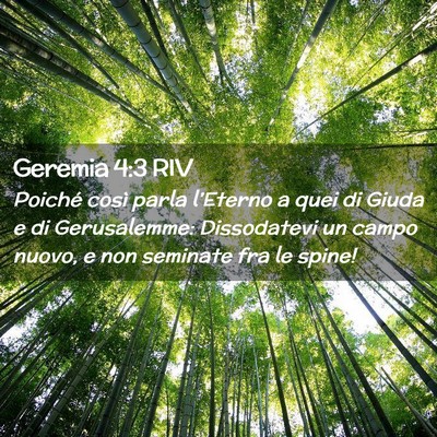 Picture 02 - Geremia 4:3 RIV - Poiché così parla l’Eterno a quei di Giuda e - Bible Verse Picture