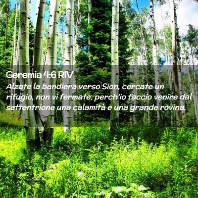 Picture 02 - Geremia 4:6 RIV - Alzate la bandiera verso Sion, cercate un - Bible Verse Picture
