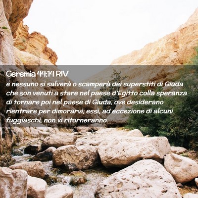 Picture 02 - Geremia 44:14 RIV - e nessuno si salverà o scamperà dei superstiti - Bible Verse Picture