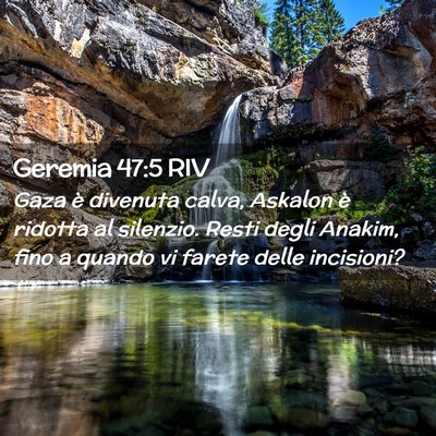 Picture 02 - Geremia 47:5 RIV - Gaza è divenuta calva, Askalon è ridotta al - Bible Verse Picture