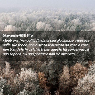 Picture 02 - Geremia 48:11 RIV - Moab era tranquillo fin dalla sua giovinezza, - Bible Verse Picture