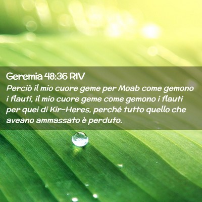 Picture 02 - Geremia 48:36 RIV - Perciò il mio cuore geme per Moab come gemono i - Bible Verse Picture