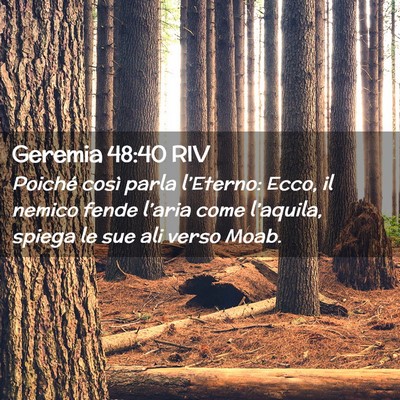 Picture 02 - Geremia 48:40 RIV - Poiché così parla l’Eterno: Ecco, il nemico - Bible Verse Picture
