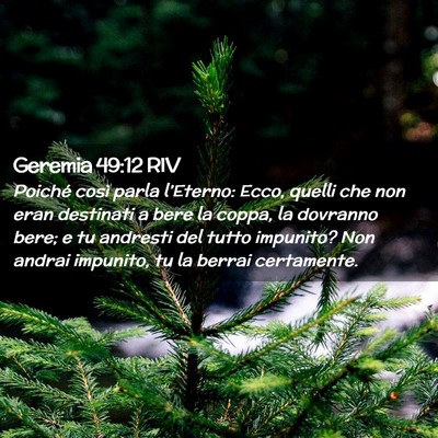 Picture 02 - Geremia 49:12 RIV - Poiché così parla l’Eterno: Ecco, quelli che - Bible Verse Picture